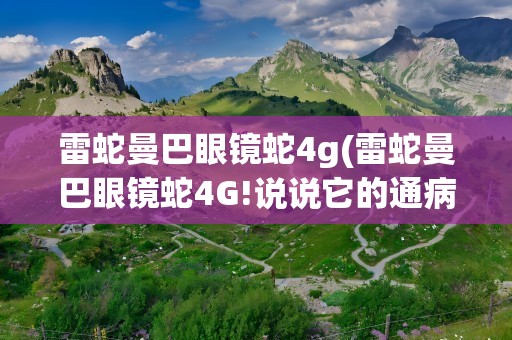 雷蛇曼巴眼镜蛇4g(雷蛇曼巴眼镜蛇4G!说说它的通病!缺点!用过的来说!越详细越好!)
