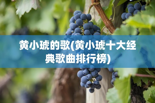 黄小琥的歌(黄小琥十大经典歌曲排行榜)