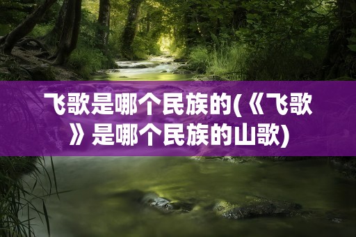 飞歌是哪个民族的(《飞歌》是哪个民族的山歌)