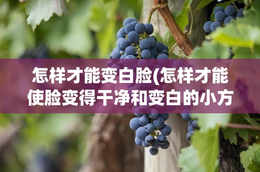 怎样才能变白脸(怎样才能使脸变得干净和变白的小方法)