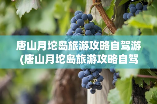 唐山月坨岛旅游攻略自驾游(唐山月坨岛旅游攻略自驾游路线)