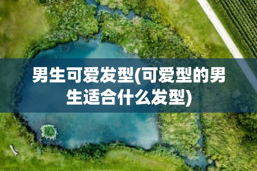 男生可爱发型(可爱型的男生适合什么发型)