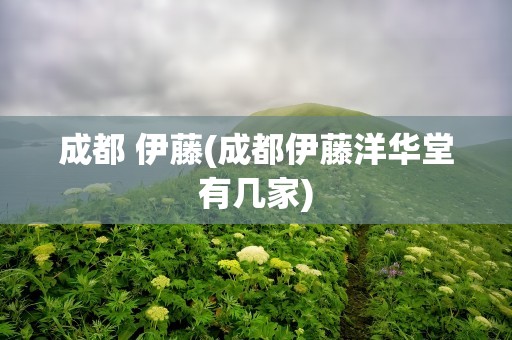 成都 伊藤(成都伊藤洋华堂有几家)