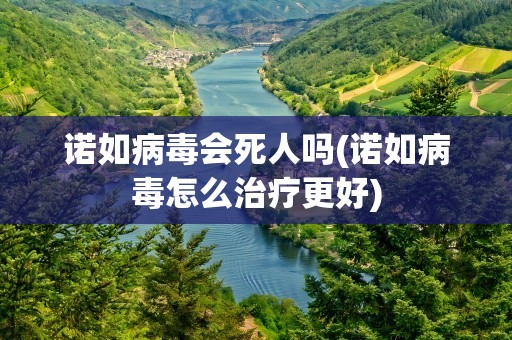诺如病毒会死人吗(诺如病毒怎么治疗更好)