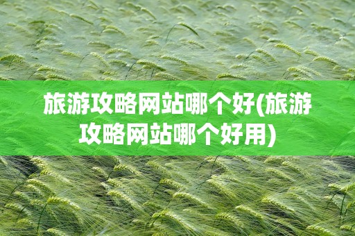 旅游攻略网站哪个好(旅游攻略网站哪个好用)
