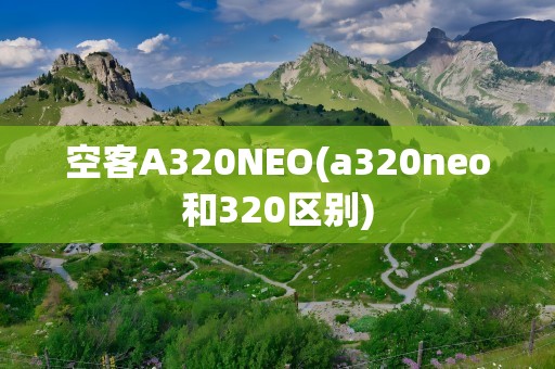 空客A320NEO(a320neo和320区别)