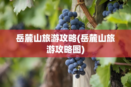 岳麓山旅游攻略(岳麓山旅游攻略图)