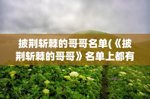 披荆斩棘的哥哥名单(《披荆斩棘的哥哥》名单上都有谁,)