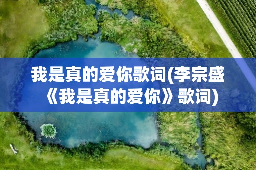 我是真的爱你歌词(李宗盛《我是真的爱你》歌词)
