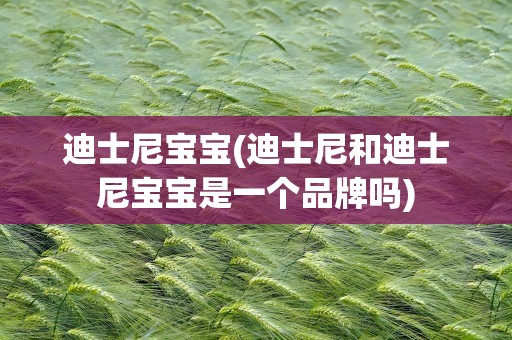 迪士尼宝宝(迪士尼和迪士尼宝宝是一个品牌吗)