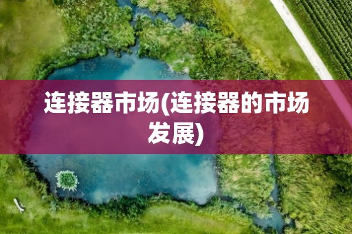 连接器市场(连接器的市场发展)