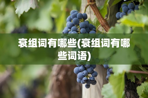 衰组词有哪些(衰组词有哪些词语)