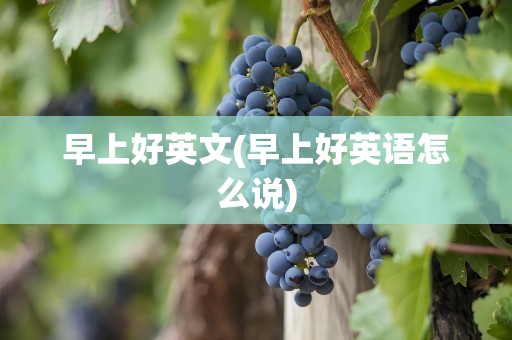 早上好英文(早上好英语怎么说)