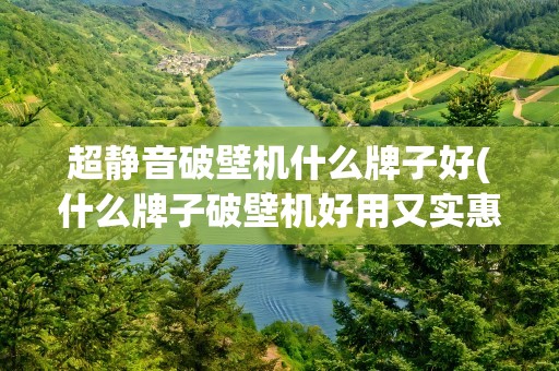 超静音破壁机什么牌子好(什么牌子破壁机好用又实惠又静音)