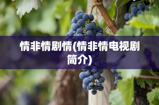 情非情剧情(情非情电视剧简介)