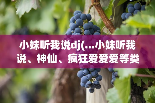 小妹听我说dj(...小妹听我说、神仙、疯狂爱爱爱等类似的DJ歌曲)