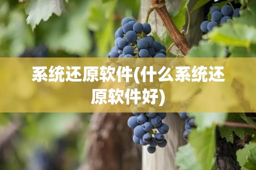 系统还原软件(什么系统还原软件好)