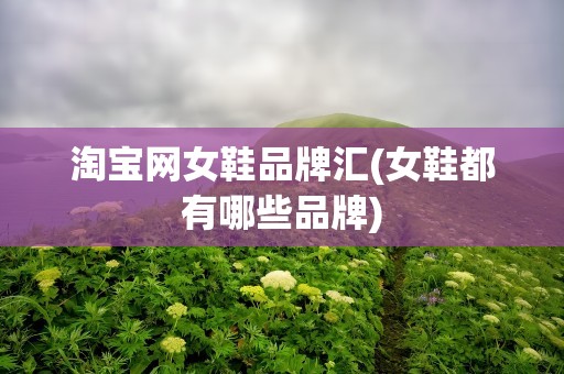 淘宝网女鞋品牌汇(女鞋都有哪些品牌)