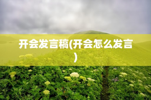 开会发言稿(开会怎么发言)