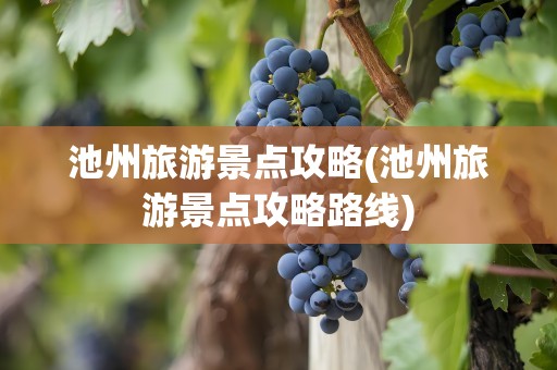 池州旅游景点攻略(池州旅游景点攻略路线)