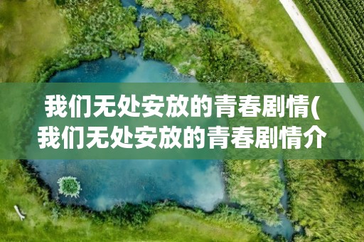 我们无处安放的青春剧情(我们无处安放的青春剧情介绍)