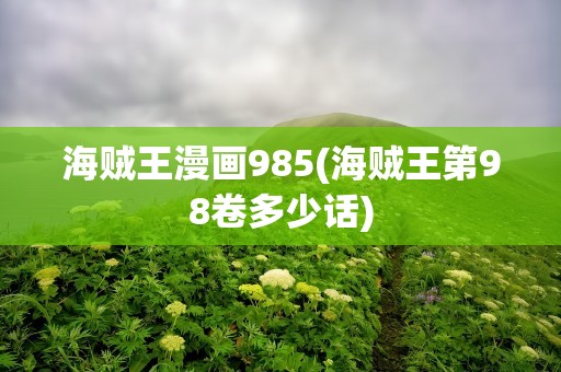 海贼王漫画985(海贼王第98卷多少话)