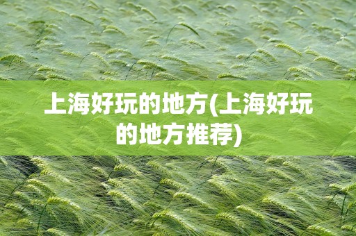 上海好玩的地方(上海好玩的地方推荐)