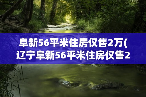 阜新56平米住房仅售2万(辽宁阜新56平米住房仅售2万)
