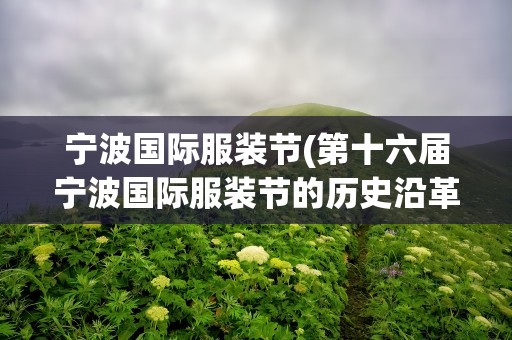 宁波国际服装节(第十六届宁波国际服装节的历史沿革)
