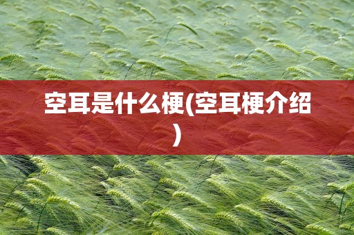 空耳是什么梗(空耳梗介绍)