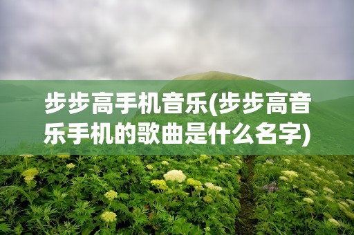 步步高手机音乐(步步高音乐手机的歌曲是什么名字)