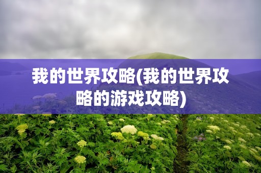 我的世界攻略(我的世界攻略的游戏攻略)