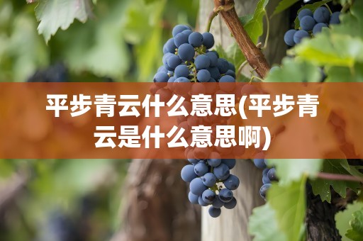 平步青云什么意思(平步青云是什么意思啊)