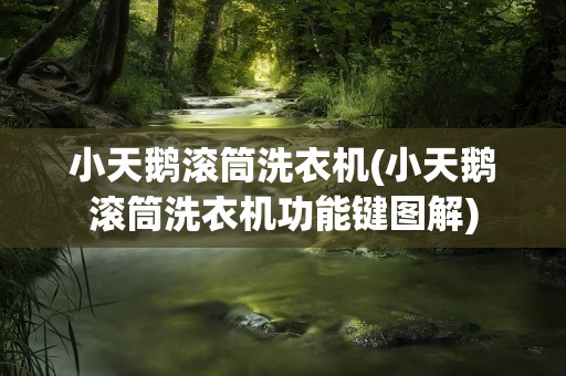 小天鹅滚筒洗衣机(小天鹅滚筒洗衣机功能键图解)