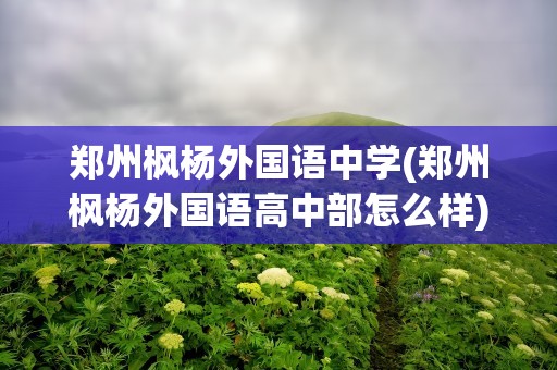 郑州枫杨外国语中学(郑州枫杨外国语高中部怎么样)