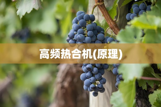 高频热合机(原理)