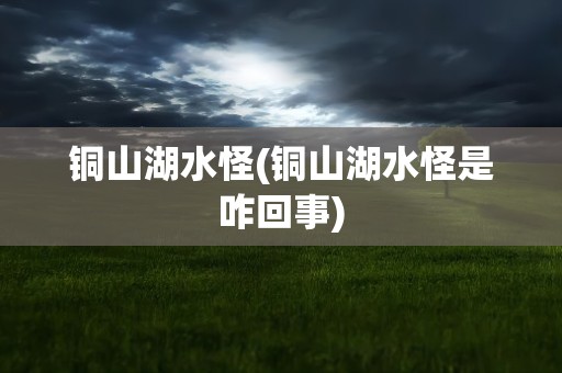 铜山湖水怪(铜山湖水怪是咋回事)