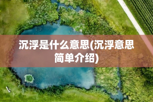 沉浮是什么意思(沉浮意思简单介绍)