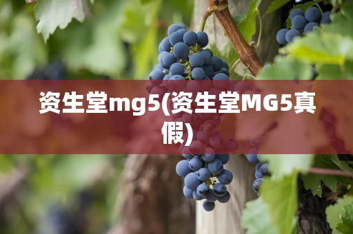资生堂mg5(资生堂MG5真假)