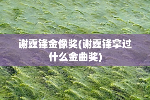 谢霆锋金像奖(谢霆锋拿过什么金曲奖)