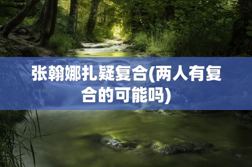 张翰娜扎疑复合(两人有复合的可能吗)
