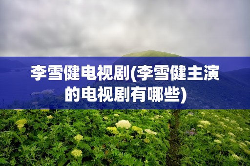 李雪健电视剧(李雪健主演的电视剧有哪些)