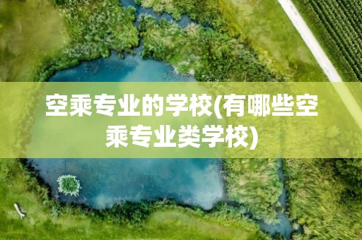 空乘专业的学校(有哪些空乘专业类学校)