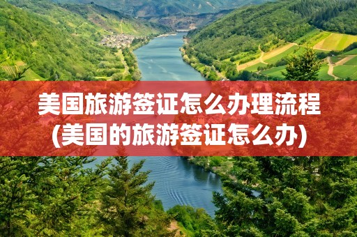 美国旅游签证怎么办理流程(美国的旅游签证怎么办)