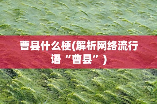 曹县什么梗(解析网络流行语“曹县”)