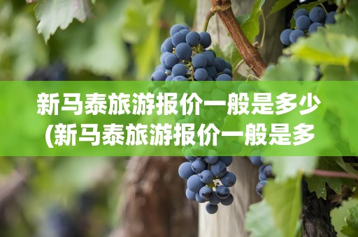 新马泰旅游报价一般是多少(新马泰旅游报价一般是多少钱)