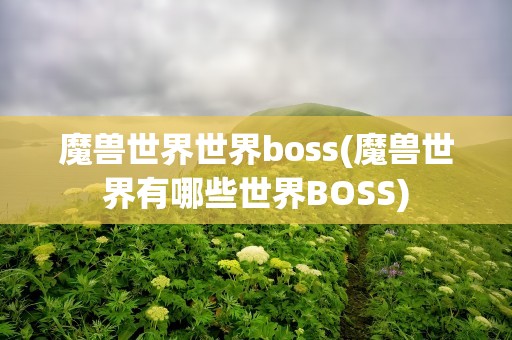 魔兽世界世界boss(魔兽世界有哪些世界BOSS)