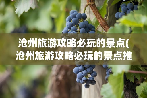 沧州旅游攻略必玩的景点(沧州旅游攻略必玩的景点推荐)