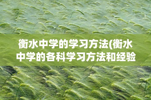 衡水中学的学习方法(衡水中学的各科学习方法和经验)