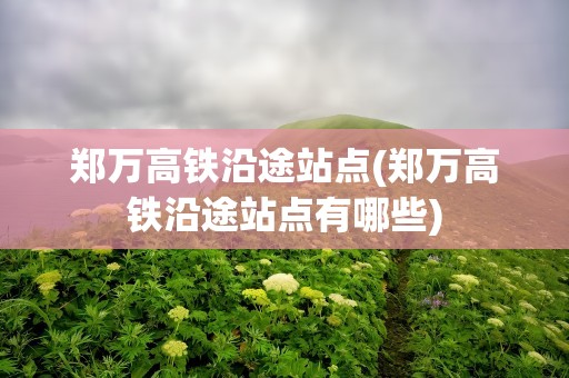 郑万高铁沿途站点(郑万高铁沿途站点有哪些)